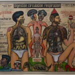 Digestion, circulation, respiration